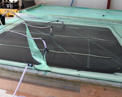 Prace kontraktowe w Danii